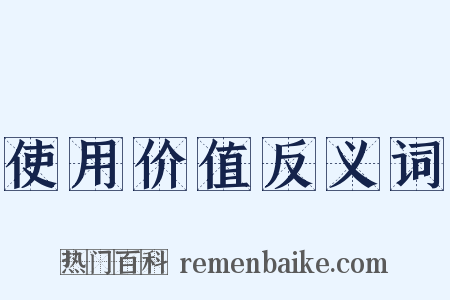 使用价值反义词是什么意思的图片
